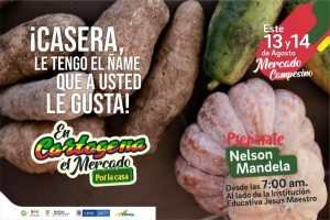 Cartagena le apuesta a “El Mercado es por la Casa”