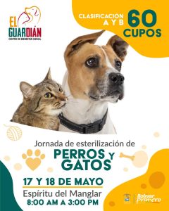 Centro de Bienestar Animal El Guardián alista jornadas de esterilización para perros y gatos